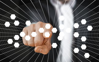 FPX前途光明!,东契奇新星败北表现突出上演精彩一战