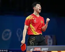 乒超联赛赛程全面解析